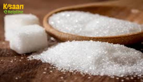 अक्टूबर-जनवरी के दौरान 17.68 मिलियन टन पर चीनी उत्पादन 25.37%: ISMA अक्टूबर-जनवरी के दौरान 17.68 मिलियन टन पर चीनी उत्पादन 25.37%: ISMA